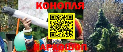 ГАЛЛЮЦИНОГЕННЫЕ ГРИБЫ Кинель