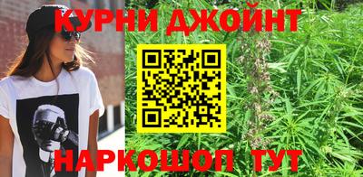 СК Кингисепп