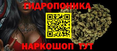 мет Кимры
