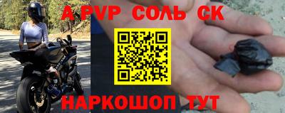СК Кингисепп
