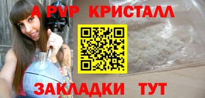 СК Кингисепп