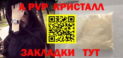СК Кингисепп