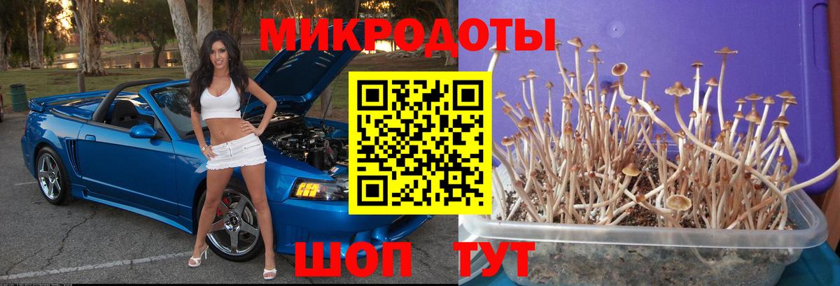 Псилоцибиновые грибы Magic Shrooms Вязники