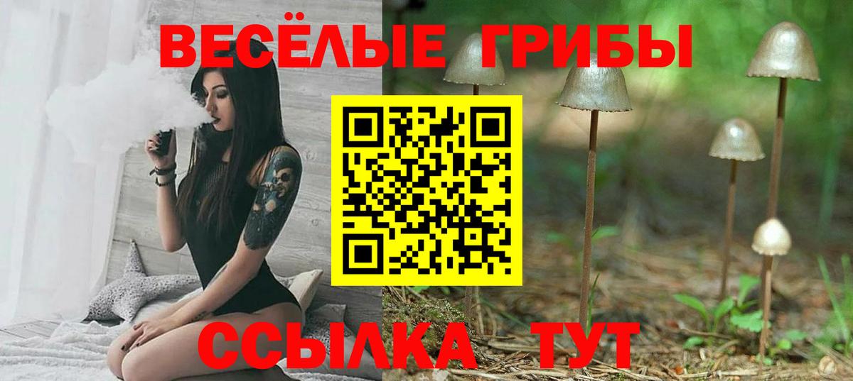 Вязники  Псилоцибиновые грибы Cubensis  Галлюциногенные грибы Psilocybine cubensis  Вход с VPN 